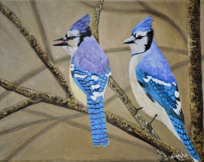 Blue Jay Bird